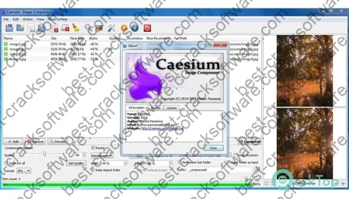 Caesium Image Compressor Keygen 2.6.0 Full Free